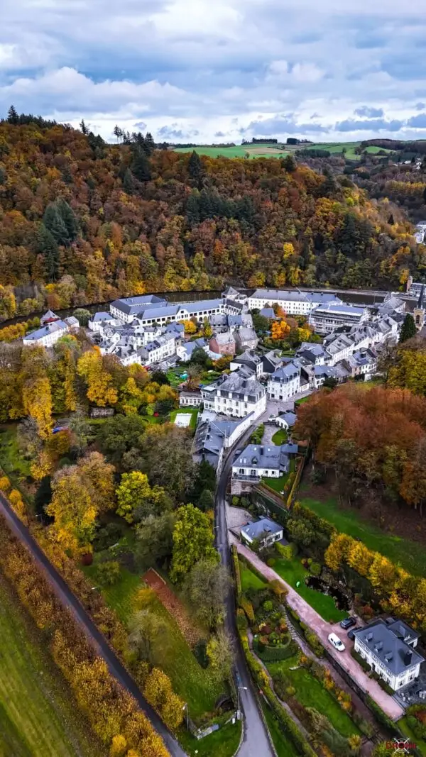 Bouillon en automne